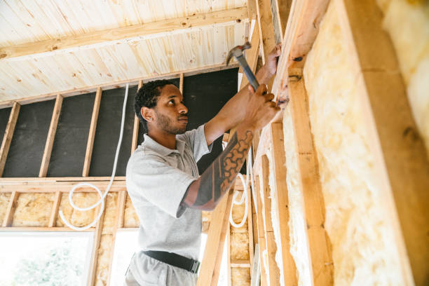 Best Insulation Replacement Services  in Cooper City, FL