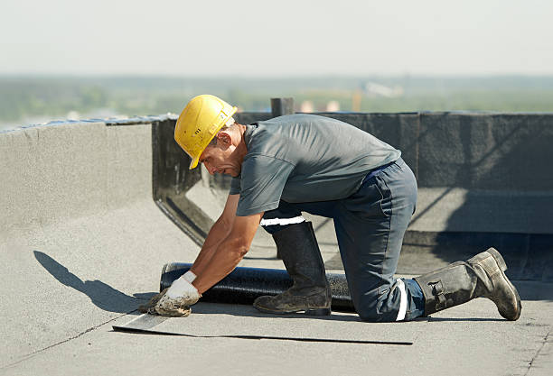 Best Insulation Repair Services  in Cooper City, FL